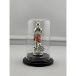 Swaminarayan silver idol back view