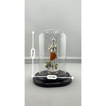 Swaminarayan idol display dimensions 11 by 13 centimetres