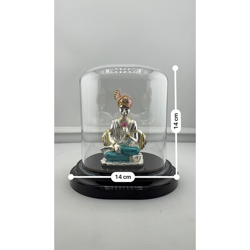 Swaminarayan idol display dimensions 14 by 14 centimetres