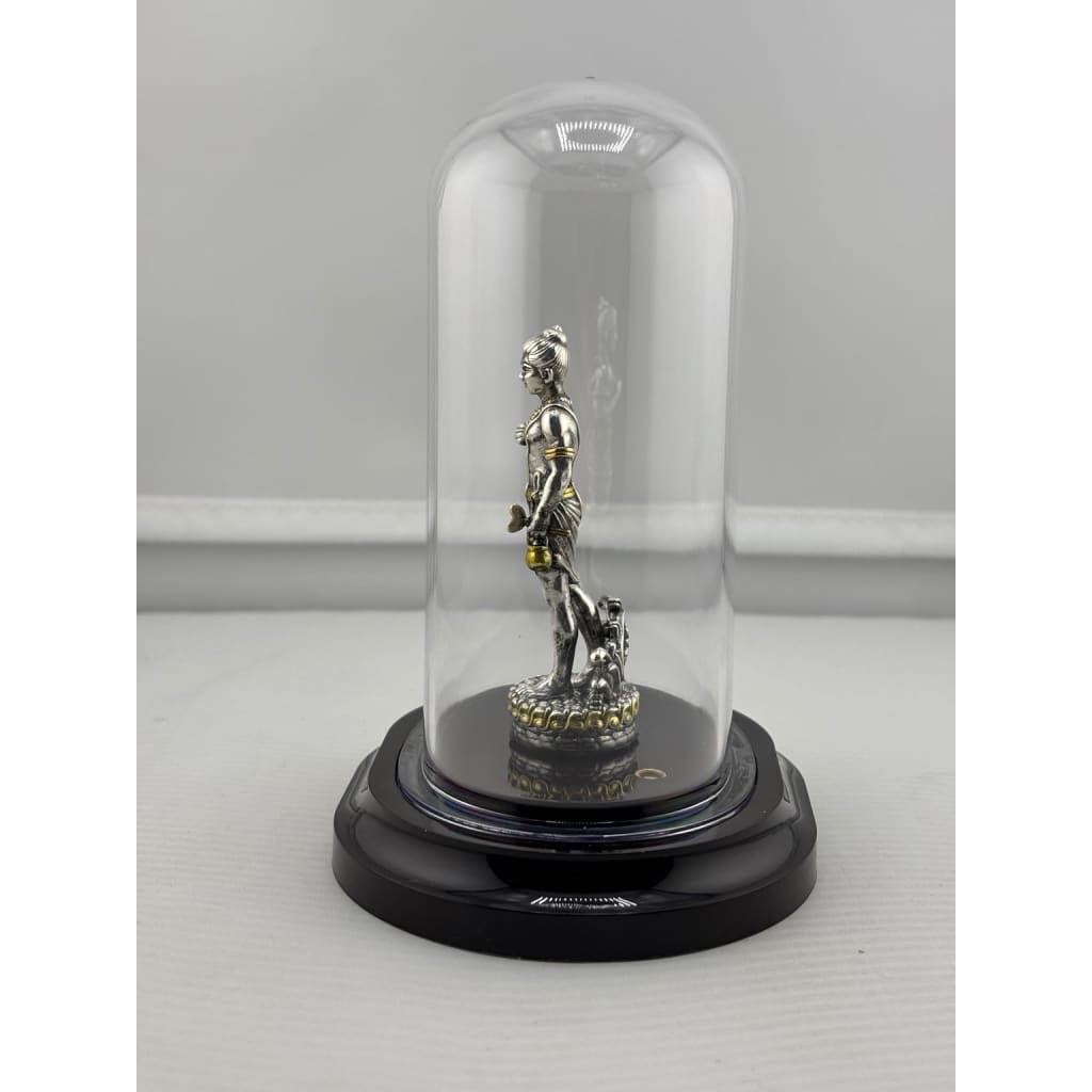 Swaminarayan silver idol in protective dome left view